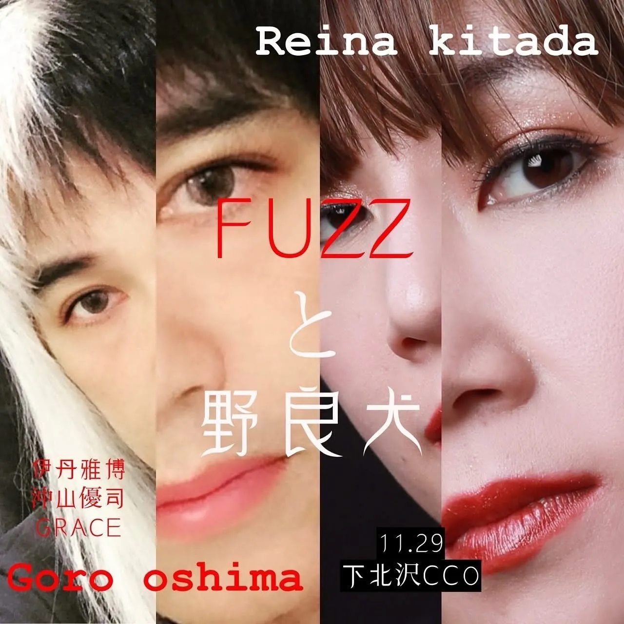 FUZZ と野良犬